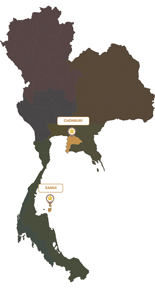 Estanan project locations — Chonburi and Koh Samui